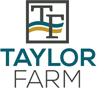 Featured image for “Taylor Farm”